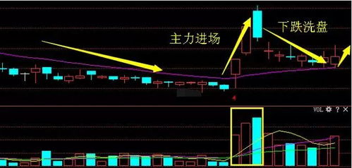 股票，理解经济生活的微观脉搏