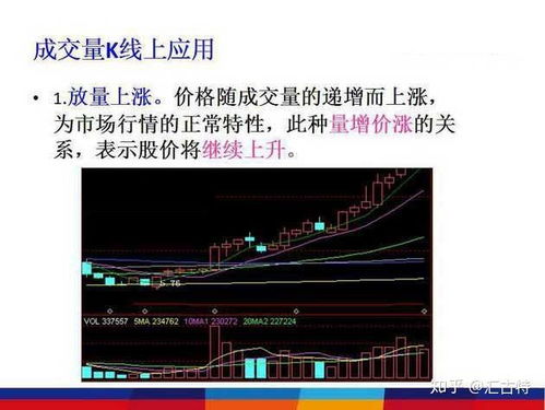 中华股民学习网，投资之路的导航灯塔