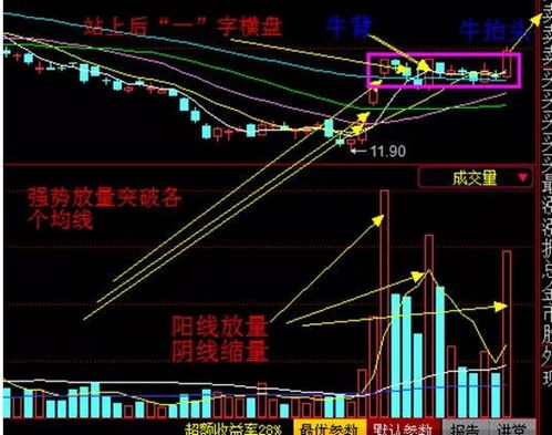 深度解析，恒源煤电股吧的崛起与投资前景探析