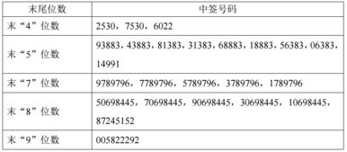 探索森麒麟，中签号码背后的市场魅力与投资机遇