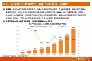 互联网时代的投资新风尚，网上买股票的深度解析与风险指南