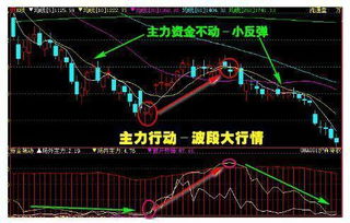 精明投资者的指南，如何明智地选择股票