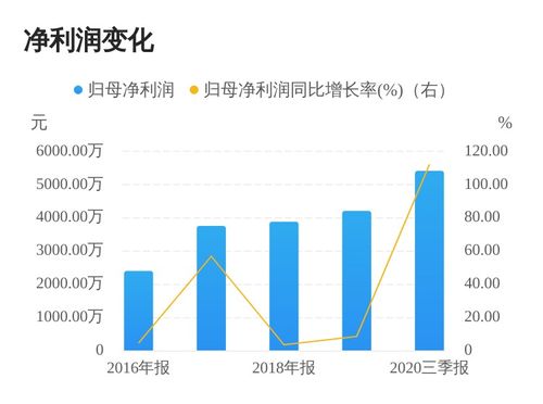 深度解析，华仁药业股票的崛起与挑战——从行业趋势到公司战略的透视