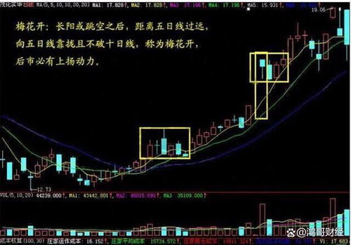 深度解析——探究股票000059的市场魅力与投资策略