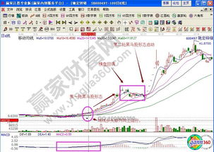 全面解析，股票投资的策略与操作指南