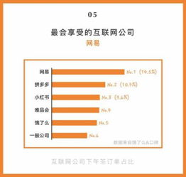 奇虎360，互联网巨头的崛起与价值探索