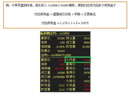 期货合约代码，理解金融市场的关键密码