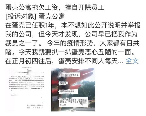 深度解析，蛋壳公寓股票的崛起与挑战——一场共享经济与房地产市场的交汇风暴