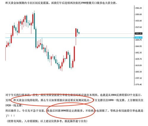 揭秘波段选股王，策略与实战的完美融合