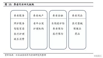 全球视野下的国际板概念股，机遇与挑战并存的新兴市场力量