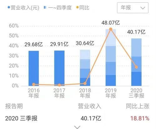 深度解析，探究股票002378的市场价值与投资策略