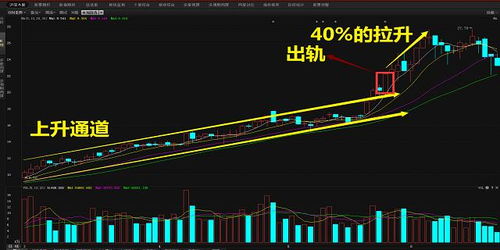 股票涨停，买入的决策策略与风险考量