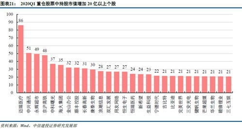 探索大成价值成长基金，稳健投资的智慧选择