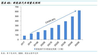 龙头股份引领行业风向，深度解析与未来展望