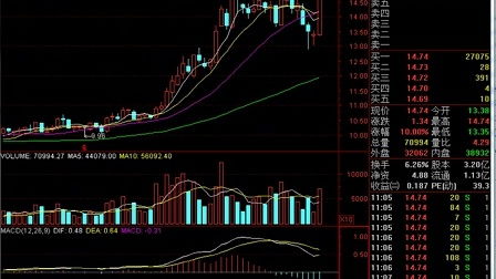 深度解析，股票002554——挖掘未来投资价值的潜力股