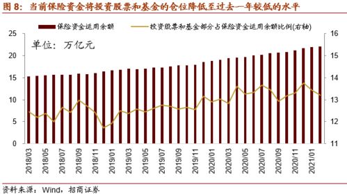 探析闰土股份股票，机遇与挑战的交织之旅