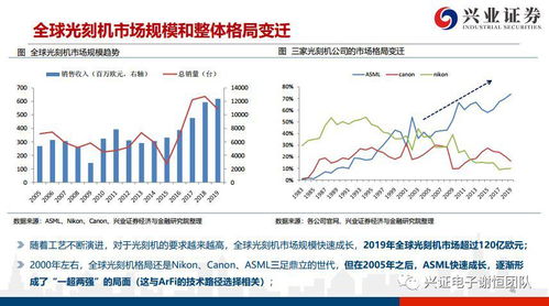 深度解析，股票600598——探寻价值与机遇的交织