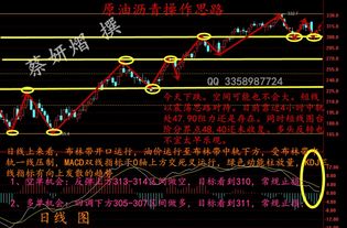 深度解析，石油涨价对股市新宠——石油涨价概念股的投资攻略