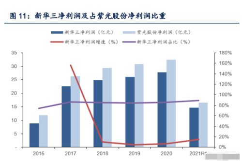 民生银行，稳健前行的金融巨头，股票投资的深度解析