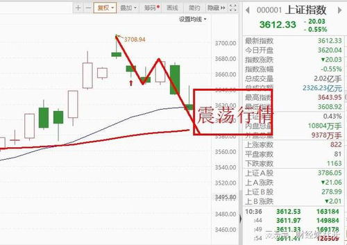 深度解析，600056股票的投资价值与市场走势探析