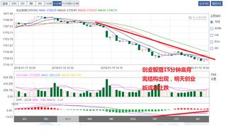 深度解析，600056股票的投资价值与市场走势探析