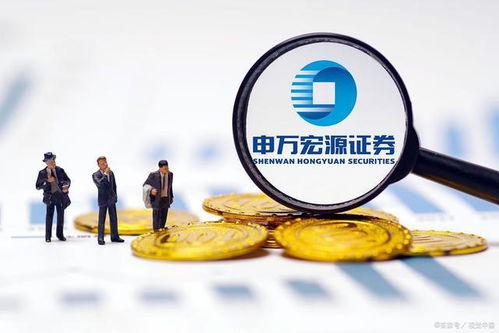 宏源证券股份有限公司，深耕金融领域，引领行业变革