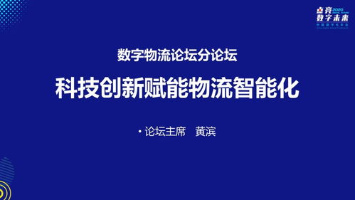 探索未来物流新纪元，飞马国际供应链的崛起与革新