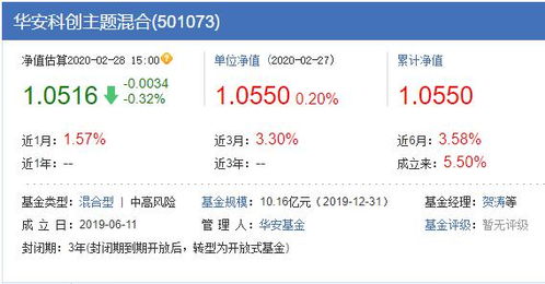 深度解析，基金净值查询590002——投资理财的智慧指南