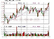 东北电气发展股份有限公司，引领电力行业的创新与变革