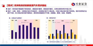 深度解析，申能股份有限公司，能源转型的领军者与绿色发展的践行者