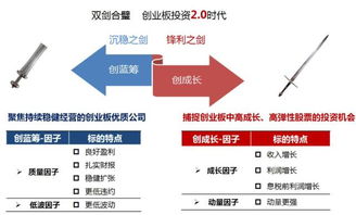 详尽指南，如何聪明地购买创业板股票——掌握策略与风险防范