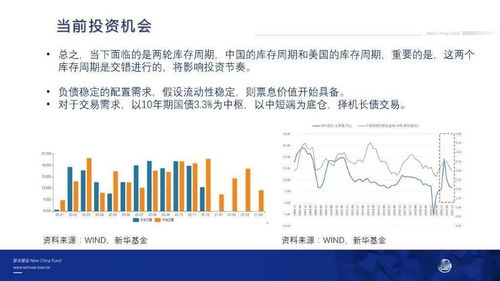 深度解析，交银精选基金净值的波动与投资策略解读