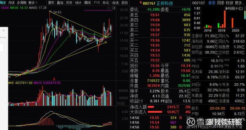 股票技术分析大全，掌握市场脉搏的策略指南