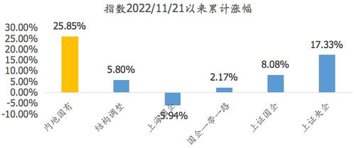 深圳能源股票，深度解析与投资展望