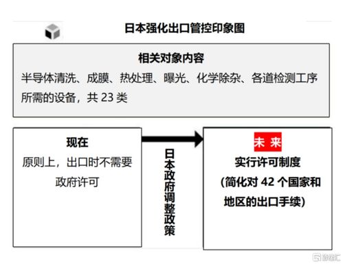 深度解析，10转5派1的股权分配策略背后的经济逻辑与企业价值提升