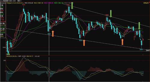 深度解析，期货行情分析的策略与趋势展望