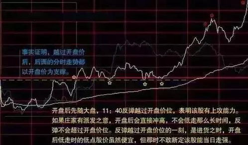 深度解析，600316——探析中国股市的蓝筹旗舰