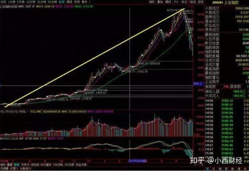 深度解析，600316——探析中国股市的蓝筹旗舰