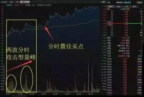 后知后觉，探索股票投资中的智慧博客与理性抉择