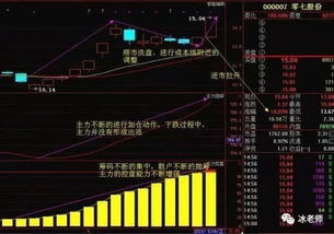 股票投资风险的深度解析与防范策略