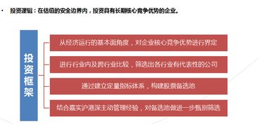 探索财富增长之路，嘉实领先成长基金的投资智慧解析