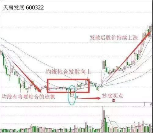 中国中期股票市场，深度解析与未来展望