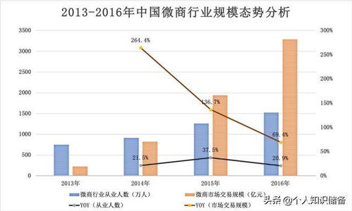 阿里巴巴股份，全球电商巨头的崛起与未来发展