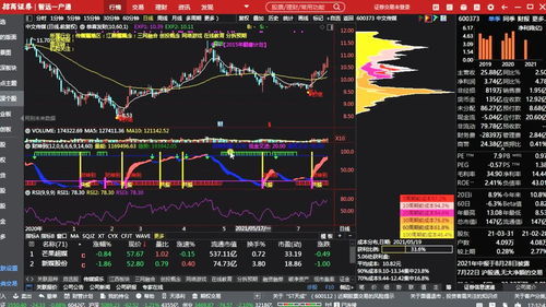 股票新手的入门指南，从零开始的炒股之路