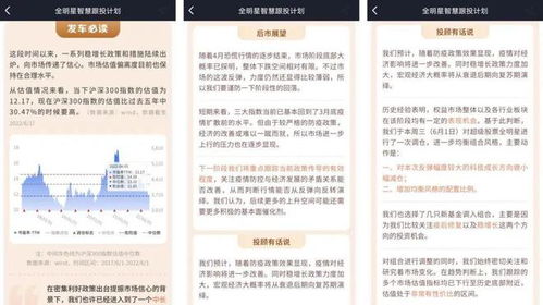 基金定投，策略与排名的深度解析——投资智慧的稳健选择