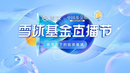 深度解析，中邮中小盘基金，投资机遇与策略探讨