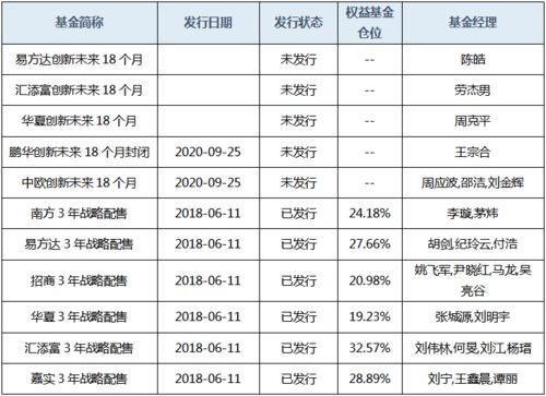 战略配售蚂蚁集团股票，金融科技创新的新里程碑与市场深层解读