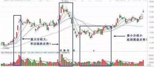 深度解析，解读股票002176——价值投资的掘金之旅