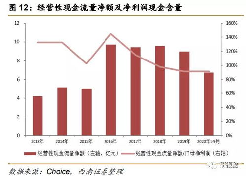 深度解析，克莉丝汀股份的崛起与挑战——一份全方位投资分析