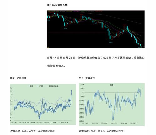 深度解析，东方银星股票的崛起与未来展望